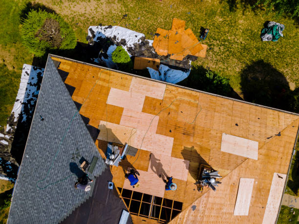Best Metal Roofing Contractor  in Old Jefferson, LA